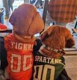 Gus and Max on Game Day